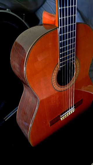 Guitarra Ricardo Sanchís Carpio