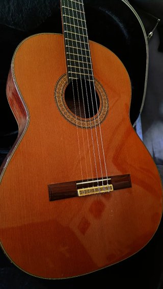 Guitarra Ricardo Sanchís Carpio