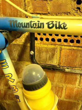 Bicicleta Mountain Bike Vintage