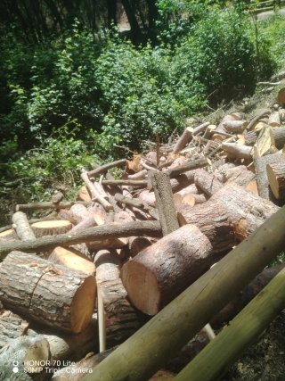 Jardenero y forestales desproce