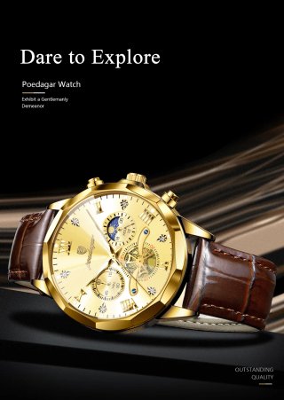 Reloj Poedagar Dorado y Marrón Hombre