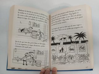 Diari del Greg 14. Desastre total.Català