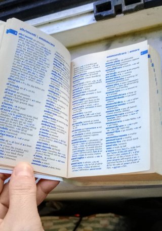 Minidizionario Oxford italiano-inglese...