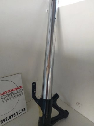 stelo  forcela  triumph speed  triple  1050