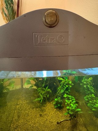 Acuario completo con mueble, filtro y calentador