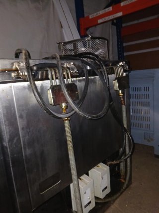 Freidora Eléctrica Profesional