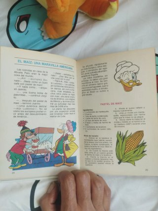 Libro biblioteca de los jóvenes castores,año 1988