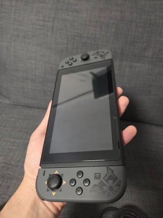 Nintendo Switch Monster Hunter Rise in Garanzia