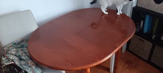 Tavolo allungabile e 4 sedie antiche in legno