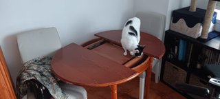 Tavolo allungabile e 4 sedie antiche in legno
