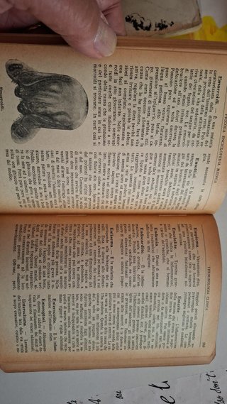 Libro vintage Piccola enciclopedia medica del 1944