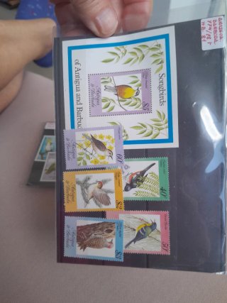 Sellos Antigua y Barbuda pájaros
