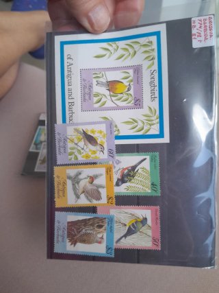 Sellos Antigua y Barbuda pájaros