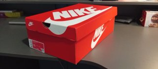 Nike Dunk Low SP Ceramic Talla 49'5