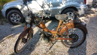 Tarrot Ciclomotor Marrón Vintage