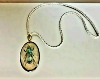 Collar con colgante de insecto