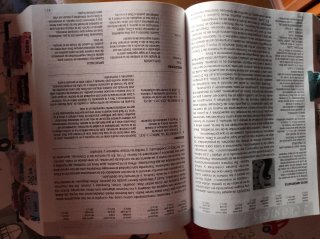 Biblia de estudio diario vivir NTV letra grande