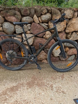 Bicicleta Trek Dual Sport 3