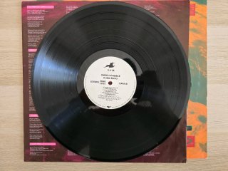 Vinilo Danza Invisible Clima Raro