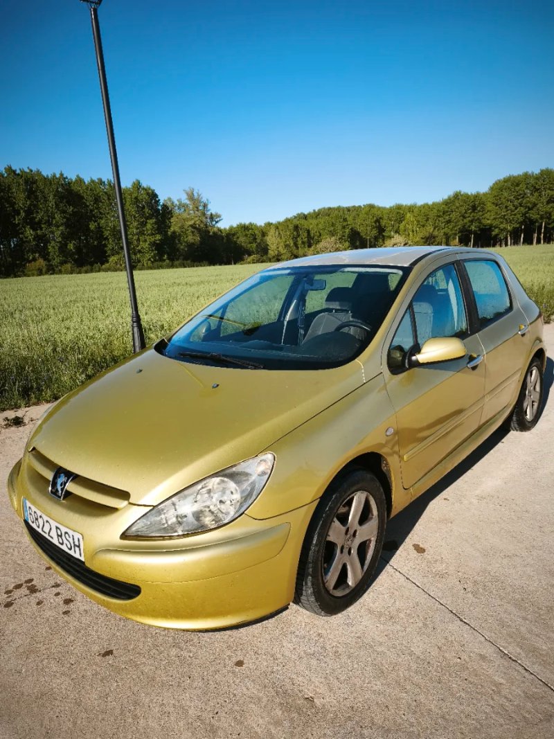 Peugeot 307 2002 - foto 1