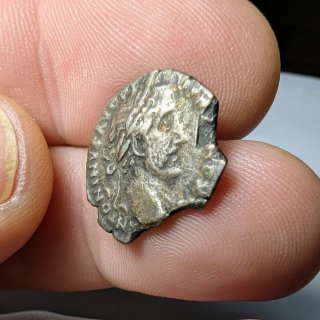 Denario Antonino Pío 152 d.C.