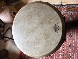Djembe Remo 14” African Coll