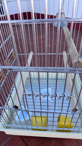 Jaula para pájaros con accesorios