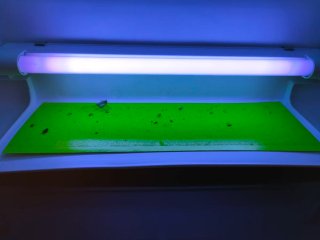 Lámpara mata moscas y otros insectos.