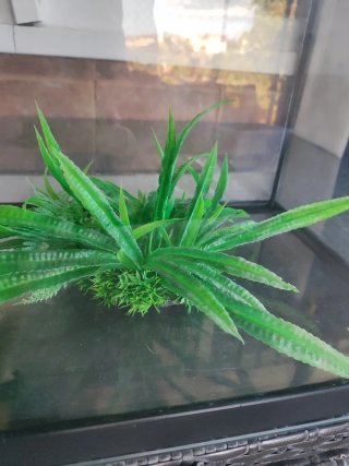 Pecera - Terrario 70L