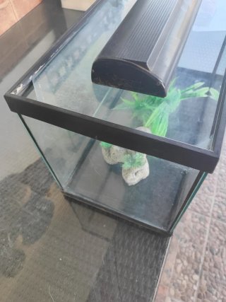 Pecera - Terrario 70L
