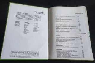 El libro Gordo de Petete. Tomo verde (1982)