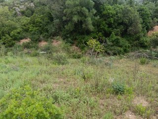 Finca con agua y luz en masdenverge
