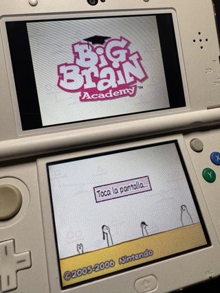 Lote 5 cartuchos Nintendo DS + Funda + Stylus