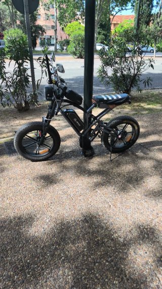 Bicicleta Eléctrica Fat Bike Negra