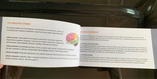 Libro ejercicios y retos mentales