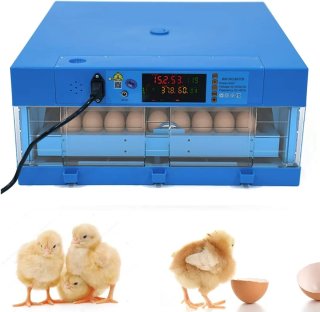 Incubadora Automática. Nacedora. Hasta 64 huevos.