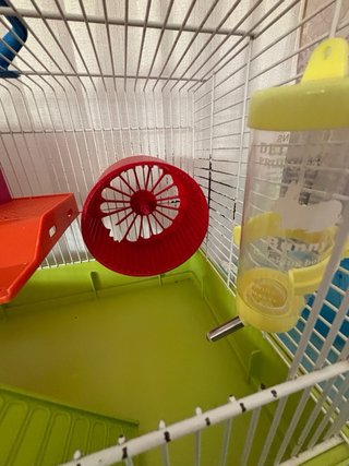 Jaula Hámster Grande + Accesorios