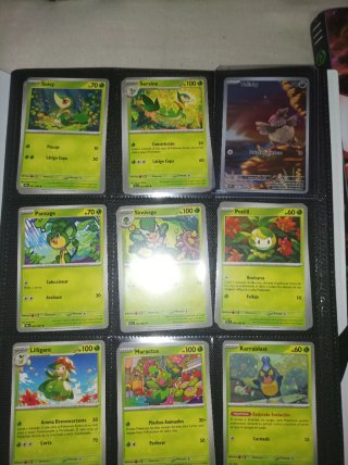 Colección Cartas Pokémon Fulgor Llama Negra