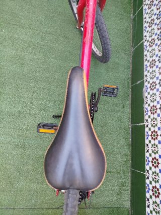 Bicicleta Orbea Roja 20 Pulgadas