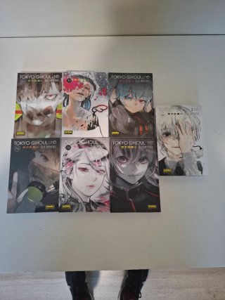 Lote de Mangas variados
