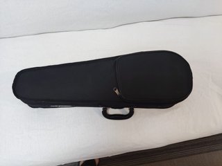 Violín Junior Carlo Giordano 45cm