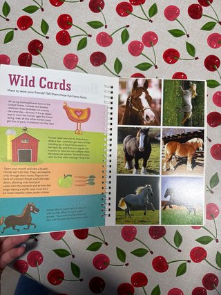 Libro en inglés de caballos para niños