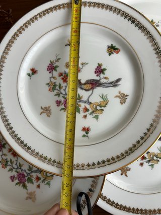 Piatti piani Limoges Uccello del paradiso