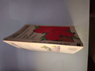 Libro infantil