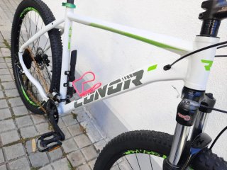 Bicicleta Montaña 29 XL