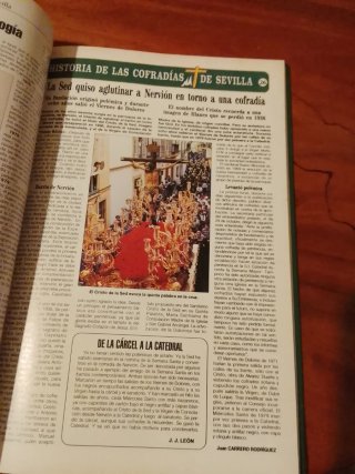 Libro. Historia de las cofradía de Sevilla