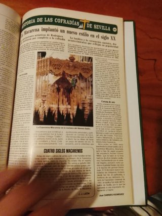 Libro. Historia de las cofradía de Sevilla