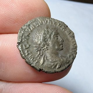Denario Alejandro Severo 222 d.C.