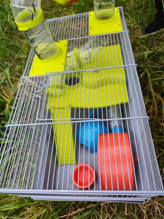 Jaula Hamster con Tubos y Accesorios