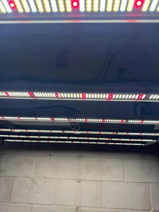 Mars Hydro LED Grow Light